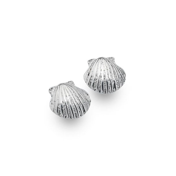 Scallop shell stud earrings