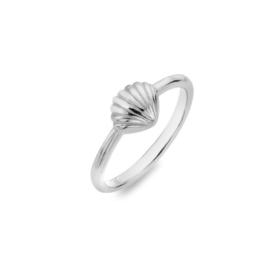 Scallop shell ring