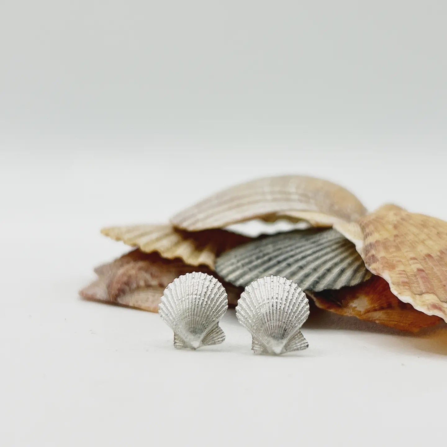 Handmade in Scotland - Scallop shell stud earrings