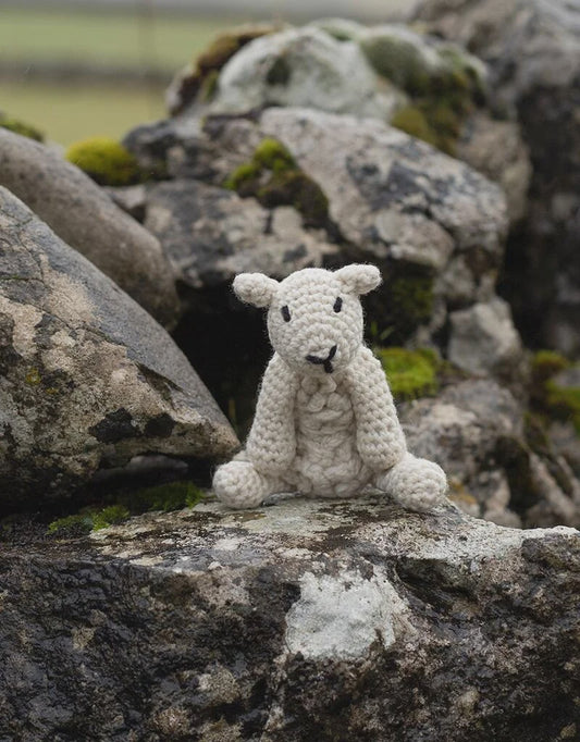 Simon the sheep kit