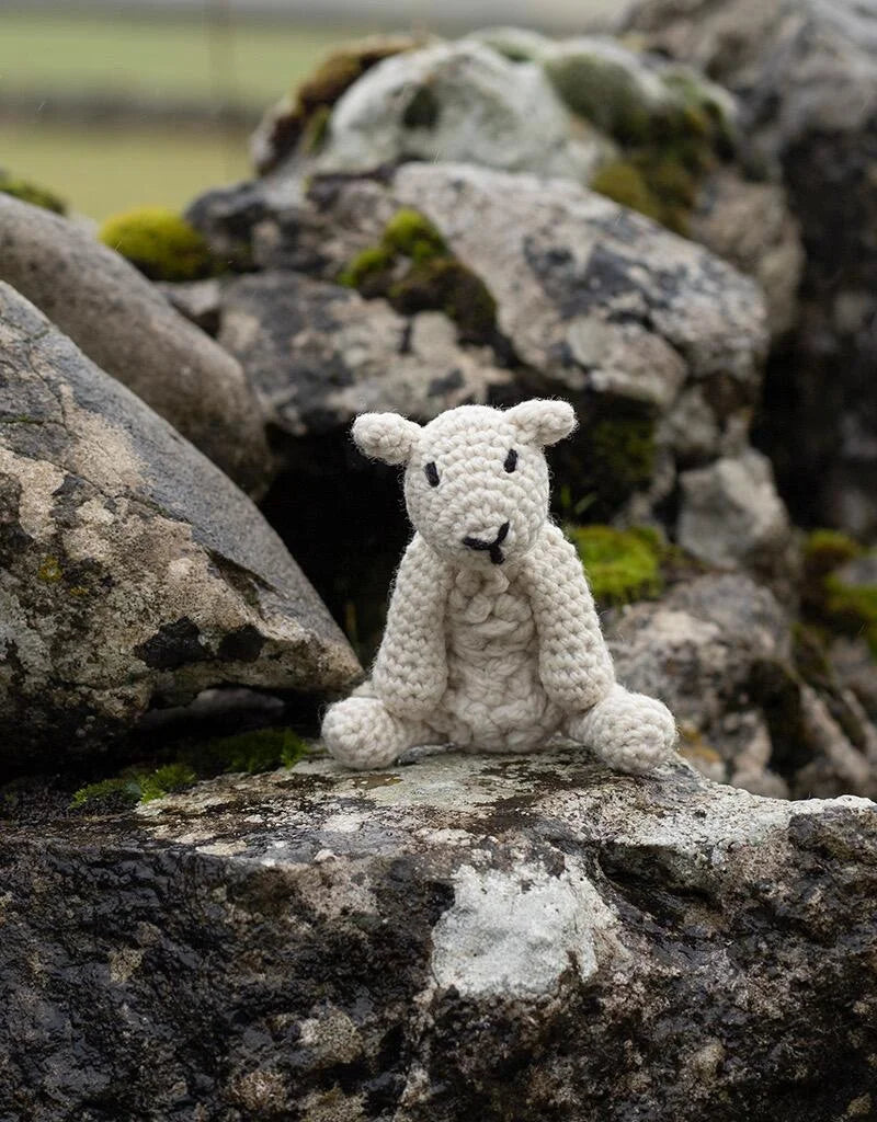 Simon the sheep kit