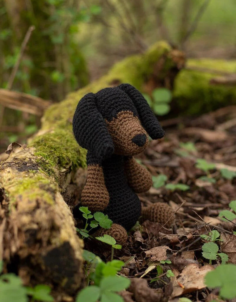 Rosie the Dachshund kit