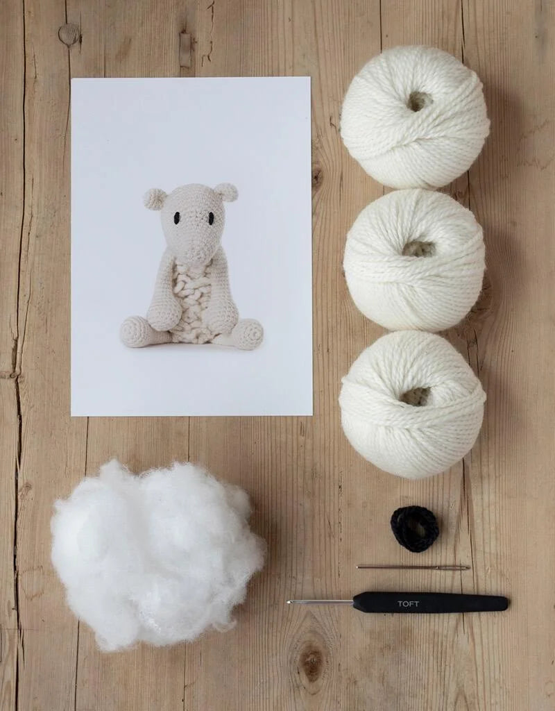 Simon the sheep kit