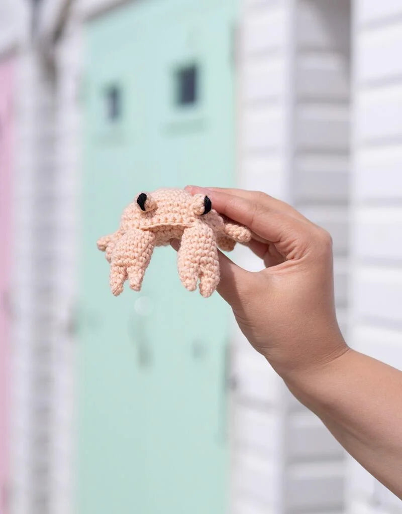 Mini Cedric the crab kit