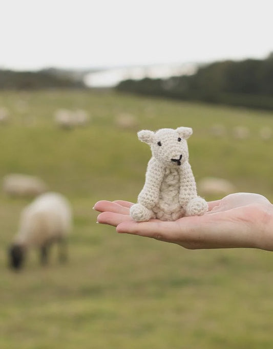 Mini Simon the sheep kit