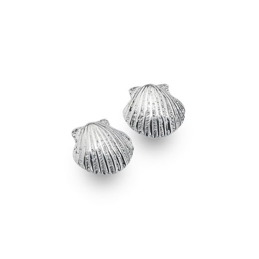 Scallop shell stud earrings