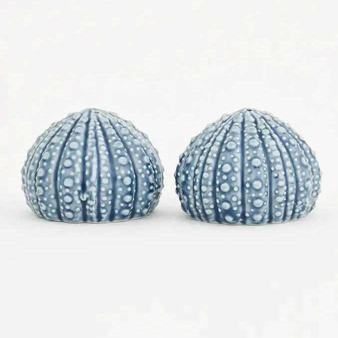 Sea urchin salt & pepper set