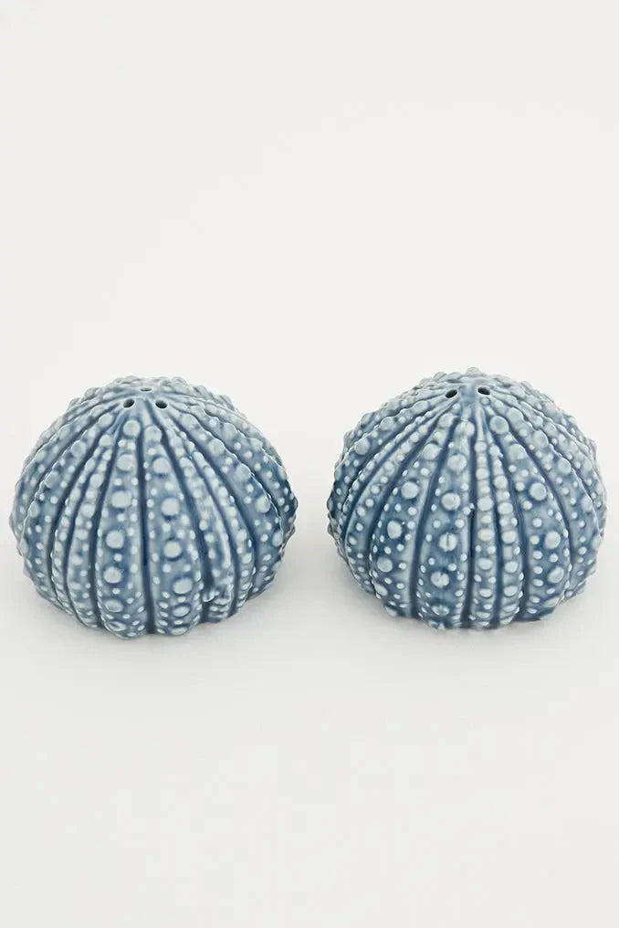 Sea urchin salt & pepper set