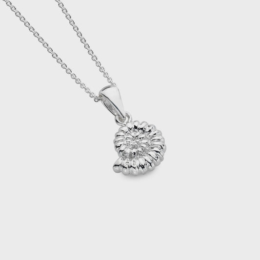 Ammonite necklace