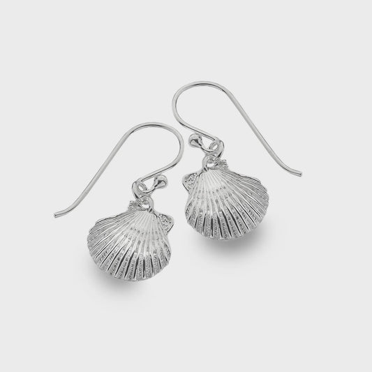 Scallop shell earrings