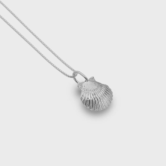 Scallop shell necklace