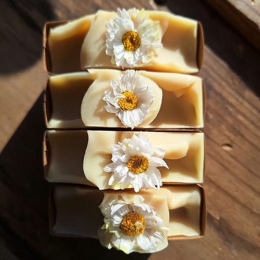 Daisy soap bar