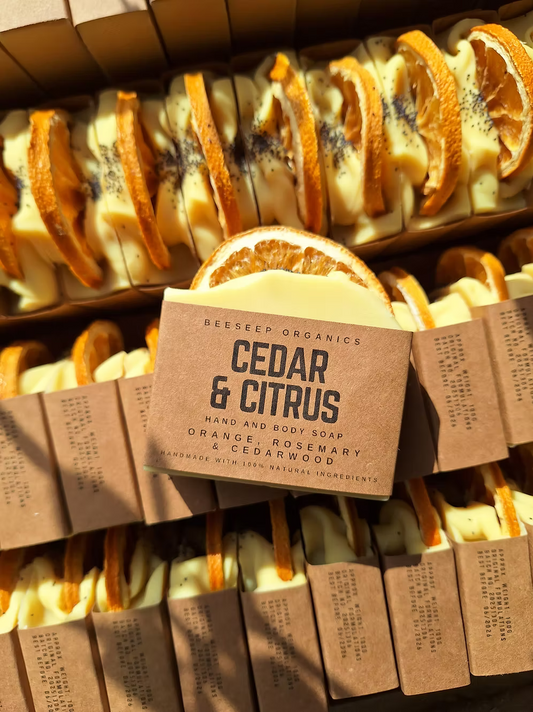 Cedar Citrus Natural Soap