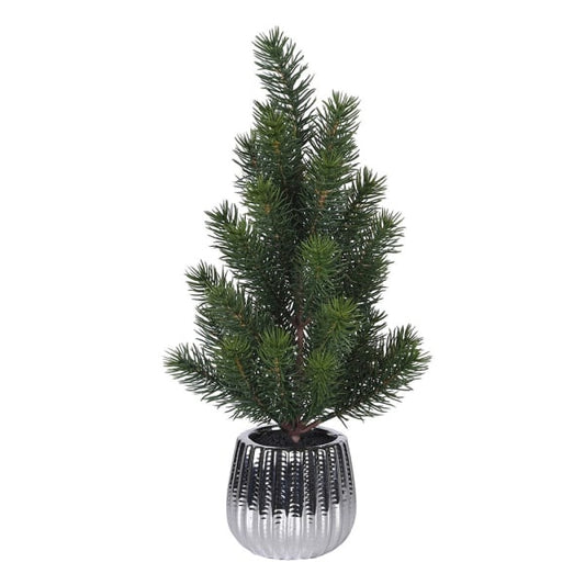 37Cm Pine Tree In Pot