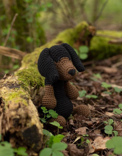 Rosie the Dachshund kit